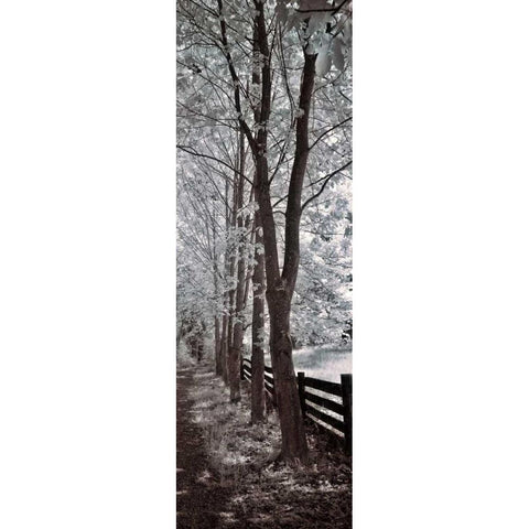 A Walk To Remember II Gold Ornate Wood Framed Art Print with Double Matting by Szilagyi, Ily