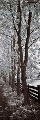 A Walk To Remember II White Modern Wood Framed Art Print with Double Matting by Szilagyi, Ily