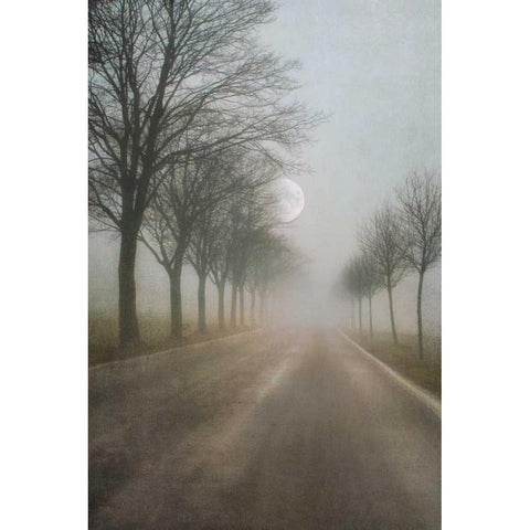 A Quiet Place Black Modern Wood Framed Art Print by Szilagyi, Ily
