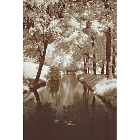 Water Under the Bridge Black Modern Wood Framed Art Print by Szilyagi, Ily
