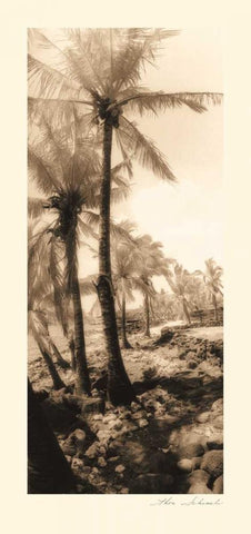 Equatorial Breeze I Black Ornate Wood Framed Art Print with Double Matting by Schrack, Thea