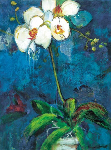 Phalaenopsis I White Modern Wood Framed Art Print with Double Matting by Tunick, Connie