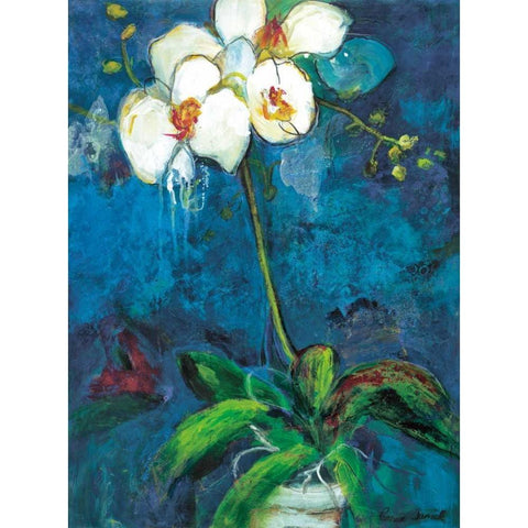 Phalaenopsis I Black Modern Wood Framed Art Print by Tunick, Connie