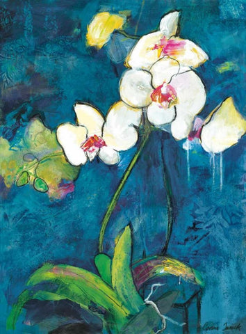Phalaenopsis II Black Ornate Wood Framed Art Print with Double Matting by Tunick, Connie
