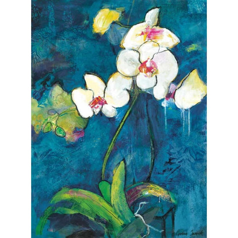 Phalaenopsis II Black Modern Wood Framed Art Print with Double Matting by Tunick, Connie
