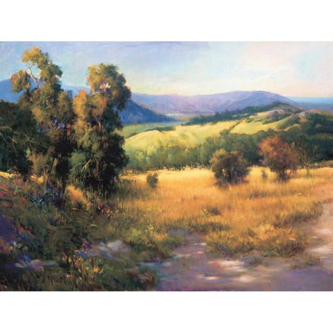 Malibu Canyon White Modern Wood Framed Art Print by Tomao, Jennie