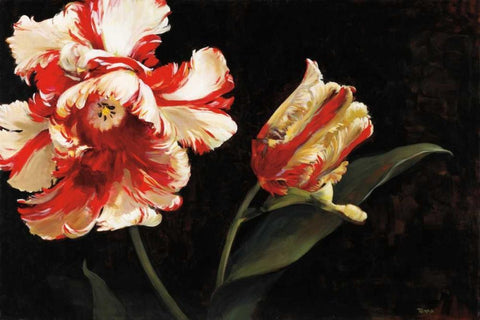 Resplendent Black Ornate Wood Framed Art Print with Double Matting by Tomao, Jennie