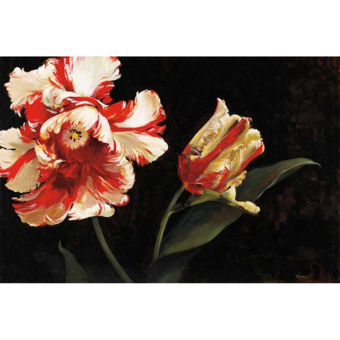 Resplendent Black Modern Wood Framed Art Print by Tomao, Jennie