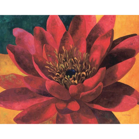 Red Water Lily White Modern Wood Framed Art Print by Torrontegui, Maria