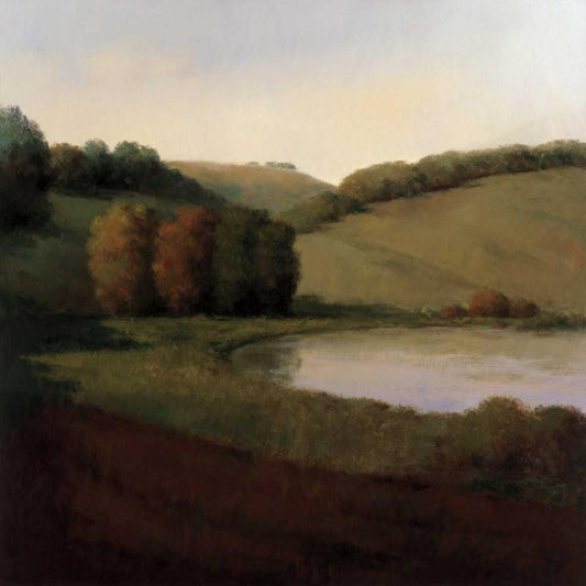 Image Only