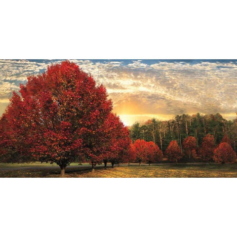 Crimson Trees Black Modern Wood Framed Art Print by Celebrate Life Gallery