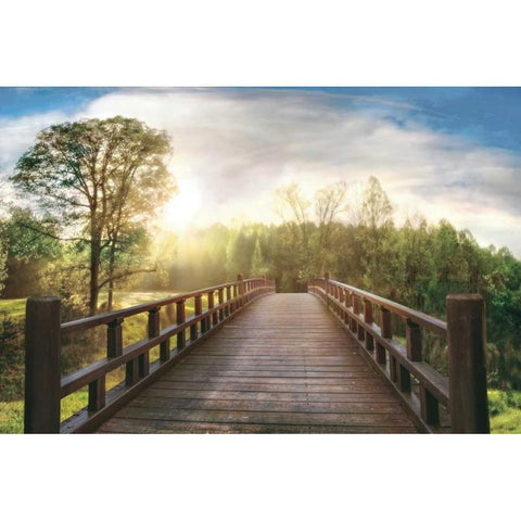 Dreams White Modern Wood Framed Art Print by Celebrate Life Gallery