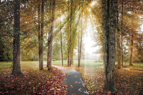 Following the Light Black Ornate Wood Framed Art Print with Double Matting by Celebrate Life Gallery