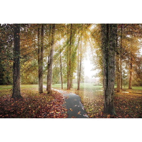 Following the Light Black Modern Wood Framed Art Print with Double Matting by Celebrate Life Gallery