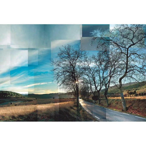 Penedes Vineyards White Modern Wood Framed Art Print by Ventosa, Pep