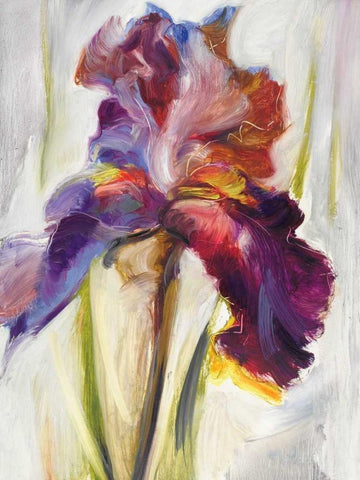 Colors of Iris I Black Ornate Wood Framed Art Print with Double Matting by Zielinska, Maria