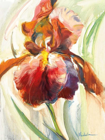 Colors of Iris II Black Ornate Wood Framed Art Print with Double Matting by Zielinska, Maria