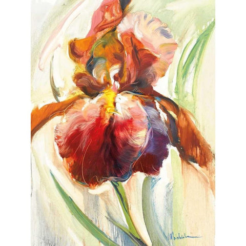 Colors of Iris II White Modern Wood Framed Art Print by Zielinska, Maria