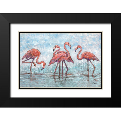 Impressions of Flamingos Horizontal Black Modern Wood Framed Art Print with Double Matting by Brent, Paul