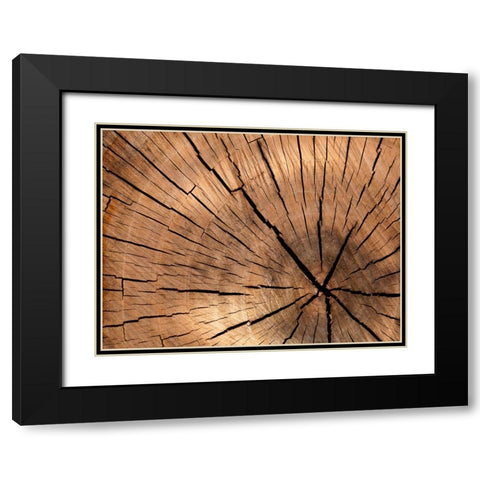 Abstract 4 Black Modern Wood Framed Art Print with Double Matting by Lee, Rachel