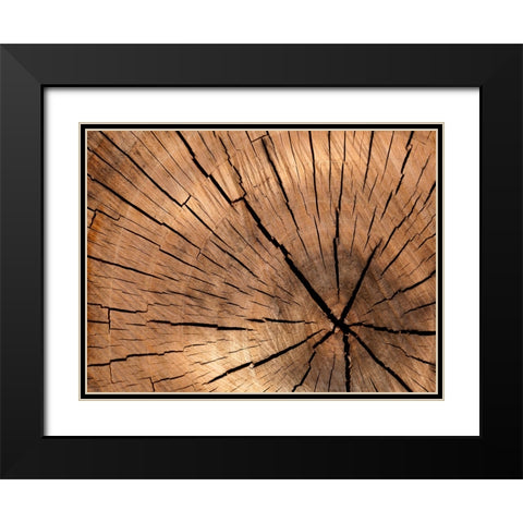 Abstract 4 Black Modern Wood Framed Art Print with Double Matting by Lee, Rachel