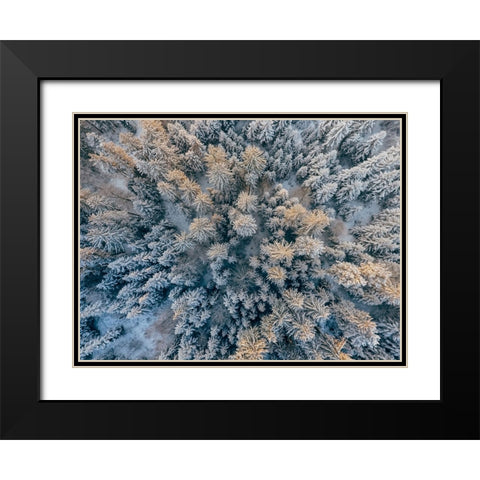 Aerial 11 Black Modern Wood Framed Art Print with Double Matting by Lee, Rachel