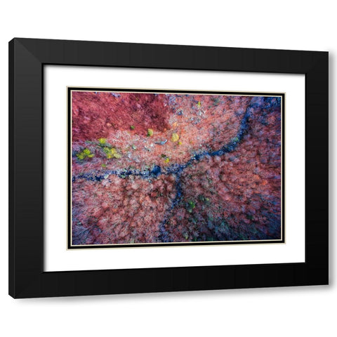 Aerial 2 Black Modern Wood Framed Art Print with Double Matting by Lee, Rachel