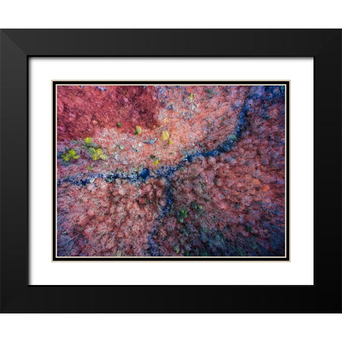 Aerial 2 Black Modern Wood Framed Art Print with Double Matting by Lee, Rachel