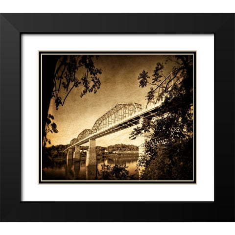 Afternoon Walnut Black Modern Wood Framed Art Print with Double Matting by Lee, Rachel