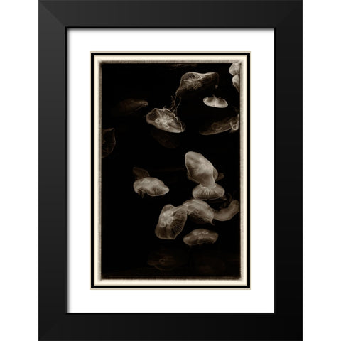 Antique Jellies 1 Black Modern Wood Framed Art Print with Double Matting by Lee, Rachel