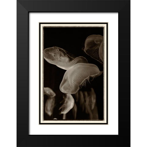 Antique Jellies 3 Black Modern Wood Framed Art Print with Double Matting by Lee, Rachel