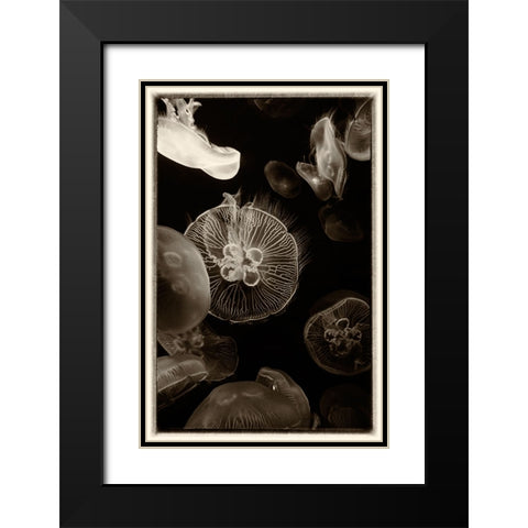 Antique Jellies 4 Black Modern Wood Framed Art Print with Double Matting by Lee, Rachel
