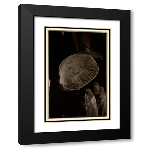 Antique Jellies 5 Black Modern Wood Framed Art Print with Double Matting by Lee, Rachel