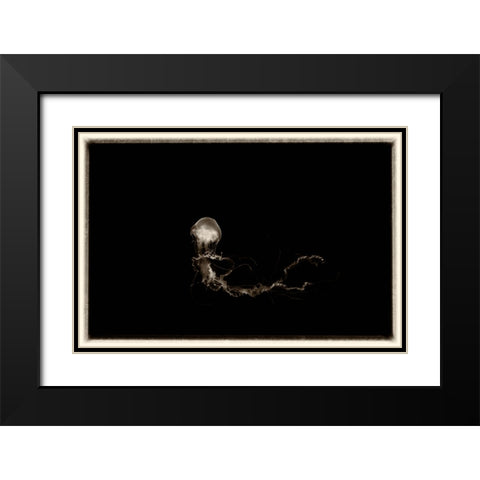 Antique Jellies 6 Black Modern Wood Framed Art Print with Double Matting by Lee, Rachel