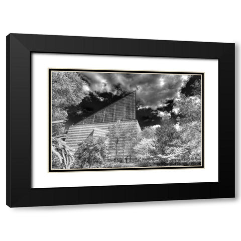 Aquarium 2 HDR BW Black Modern Wood Framed Art Print with Double Matting by Lee, Rachel