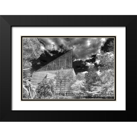 Aquarium 2 HDR BW Black Modern Wood Framed Art Print with Double Matting by Lee, Rachel