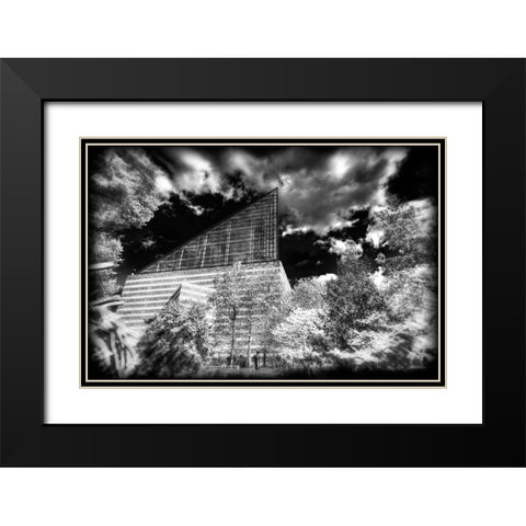 Aquarium 2 HDR BW Holga Black Modern Wood Framed Art Print with Double Matting by Lee, Rachel