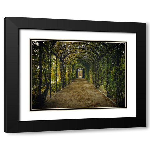 Architectural 3 Black Modern Wood Framed Art Print with Double Matting by Lee, Rachel
