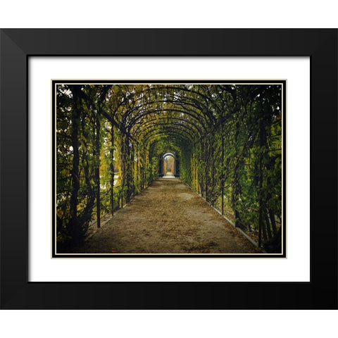 Architectural 3 Black Modern Wood Framed Art Print with Double Matting by Lee, Rachel