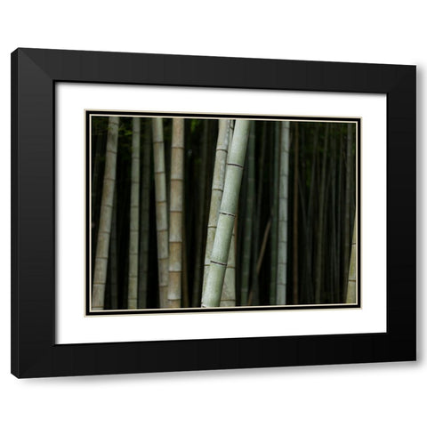 Bamboo Black Modern Wood Framed Art Print with Double Matting by Lee, Rachel