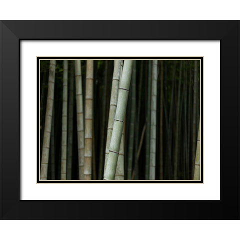 Bamboo Black Modern Wood Framed Art Print with Double Matting by Lee, Rachel
