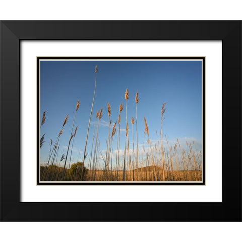 Beach 7 Black Modern Wood Framed Art Print with Double Matting by Lee, Rachel