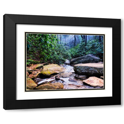 Benton Falls 2 Black Modern Wood Framed Art Print with Double Matting by Lee, Rachel