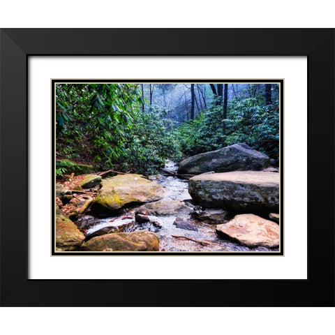 Benton Falls 2 Black Modern Wood Framed Art Print with Double Matting by Lee, Rachel