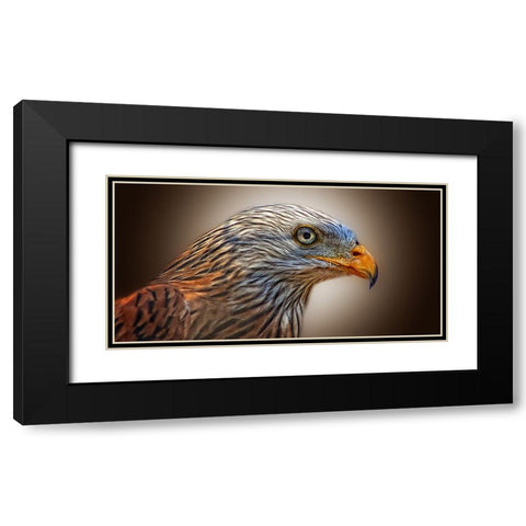 Bird 11 Black Modern Wood Framed Art Print with Double Matting by Lee, Rachel