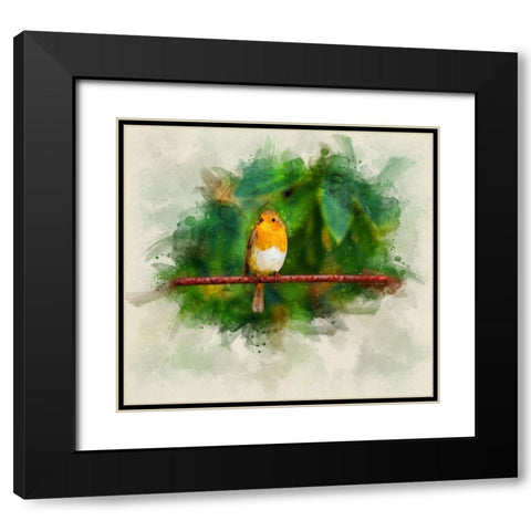 Bird 17 Watercolor Black Modern Wood Framed Art Print with Double Matting by Lee, Rachel