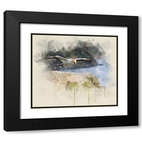 Bird 19 Watercolor Black Modern Wood Framed Art Print with Double Matting by Lee, Rachel