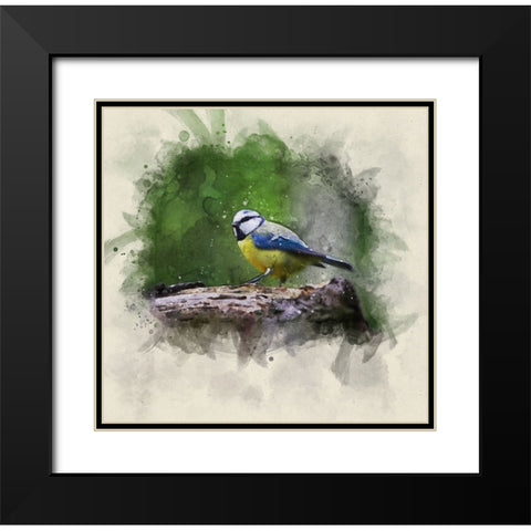 Bird 22 Watercolor Black Modern Wood Framed Art Print with Double Matting by Lee, Rachel