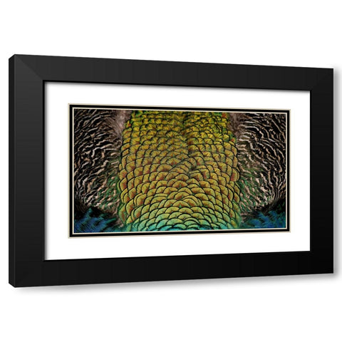 Bird 28 Black Modern Wood Framed Art Print with Double Matting by Lee, Rachel