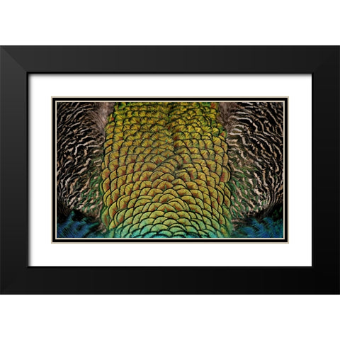 Bird 28 Black Modern Wood Framed Art Print with Double Matting by Lee, Rachel